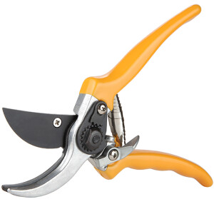 Pruning Shear